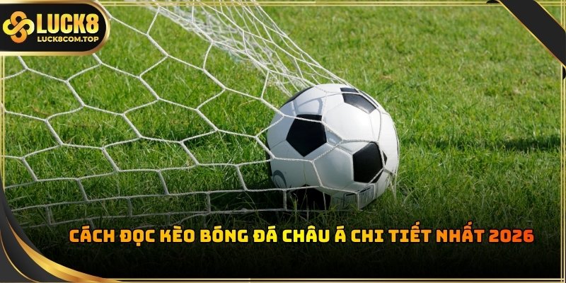 Tỷ lệ kèo chấp giúp tạo ra sự cân bằng về mặt trình độ giữa hai đội bóng