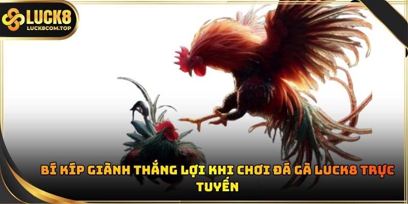 Tham gia cá cược kê chiến đòi hỏi người chơi phải có sự chuẩn bị kỹ lưỡng