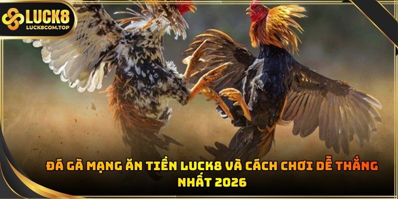 Quản lý tài chính khoa học giúp sư kê duy trì được sự tỉnh táo và bền bỉ