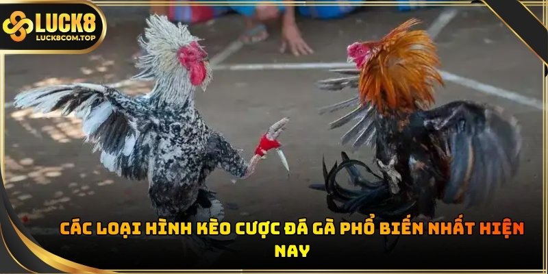 Phân biệt rõ cửa cược để xây dựng chiến thuật hợp lý và tối ưu hóa lợi nhuận