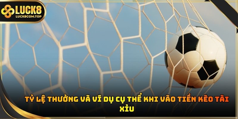 Nắm rõ cơ chế tính tiền giúp hội viên tối ưu hóa lợi nhuận khi dự đoán đúng